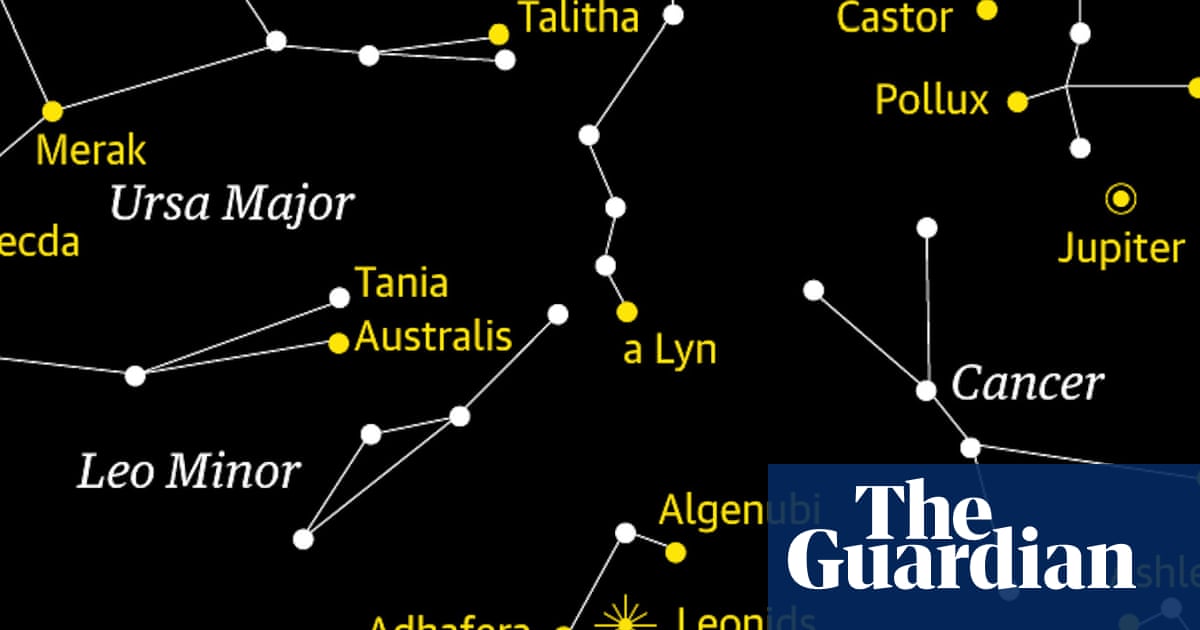 The Leonids Meteor Shower Peaks – Mirror Brief